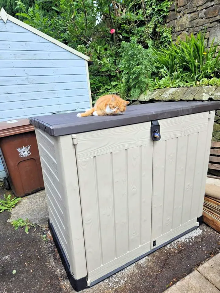 Shed erected 1 Enlarged
