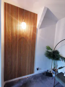 Paneling 1