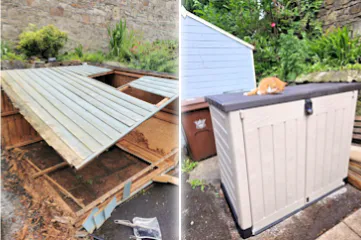 shed